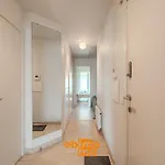 Zannekin 0302 *